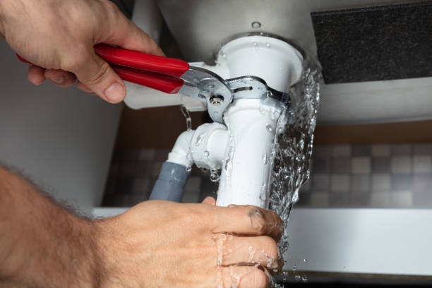 Best Water damage cleanup near me  in Brown Deer, WI