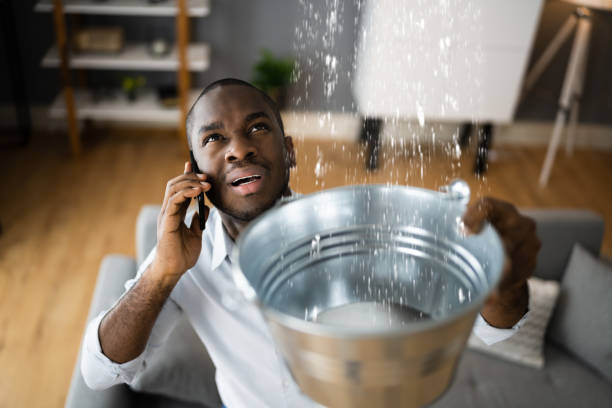 Best Water damage restoration process  in Brown Deer, WI