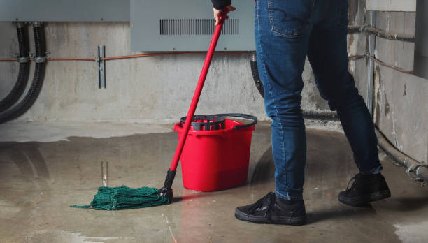 Best Water damage restoration near me  in Brown Deer, WI