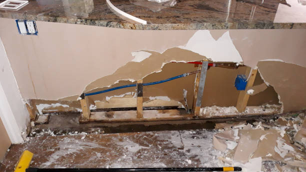 Best Residential water damage restoration  in Brown Deer, WI