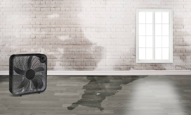 Local water damage restoration in Brown Deer, WI