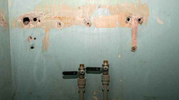 Best Fire Damage Restoration  in Brown Deer, WI