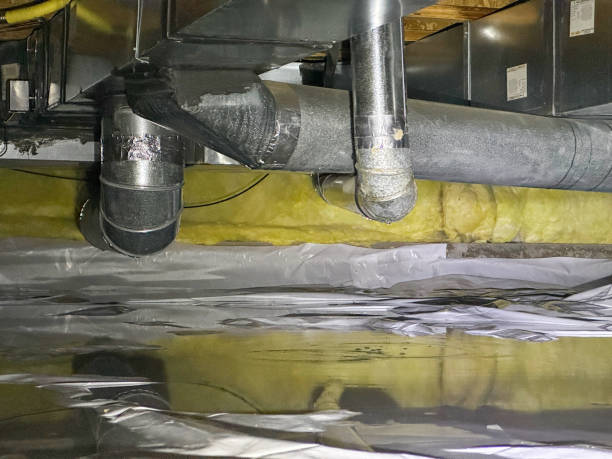 Best Flood damage cleanup  in Brown Deer, WI