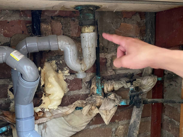 Best Residential water damage restoration  in Brown Deer, WI