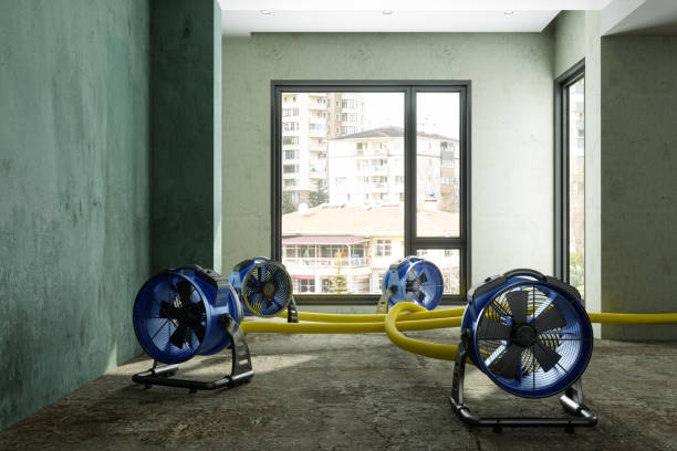 Best Water damage restoration near me  in Brown Deer, WI