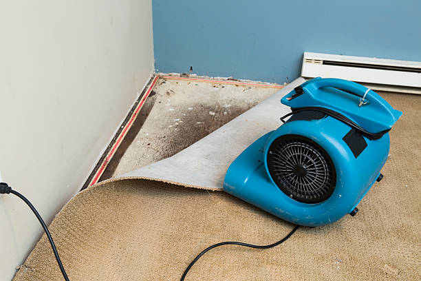 Best Professional water damage repair  in Brown Deer, WI